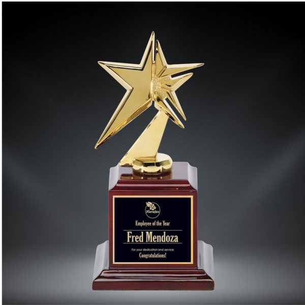 Star of Stars Award