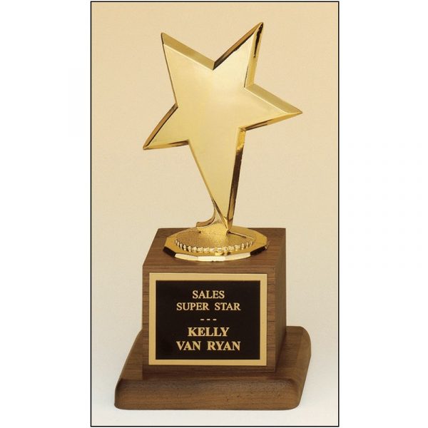 gold star award