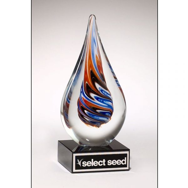 Multi Colored Whirlpool Art Glass Award