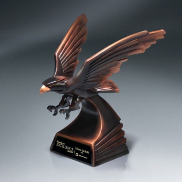 Bronze Modern Eagle Flight Award