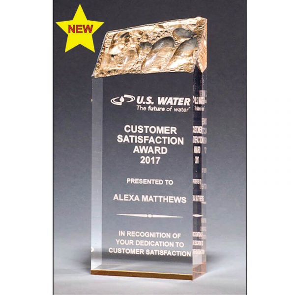 Iceberg Gold Accent Acrylic Award