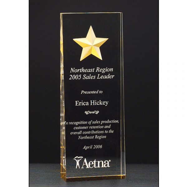 Gold Star Acrylic Award