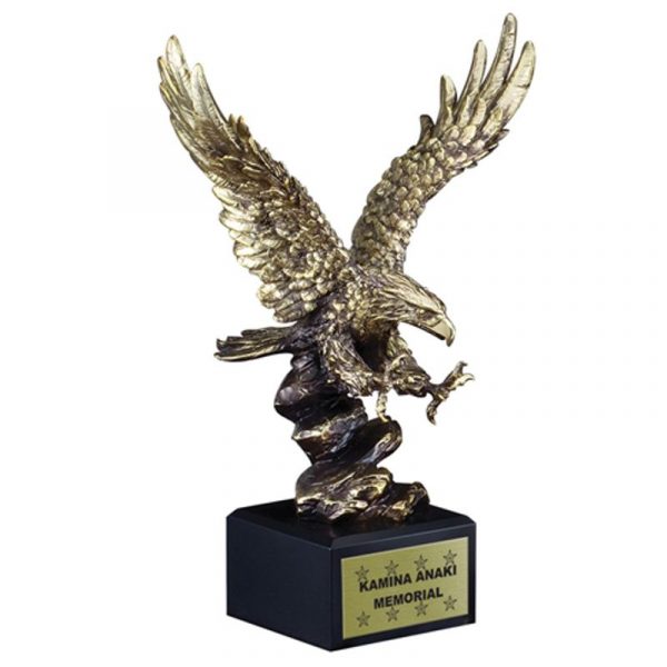 American Eagle Gold Finish Achievement Award