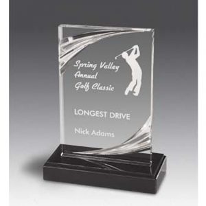 Arlington Diamond Carved Acrylic Award