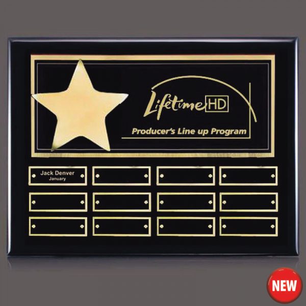 Gold Star 12 Plate Leadership Award Plaque