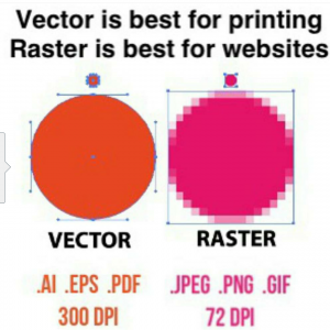 Vector/raster